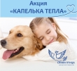 АКЦИЯ! Беззащитным хвостатикам нужна помощь